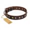 "Golden"n"Silver Luxury" FDT Artisan Leather Great Dane Collar with Engraved Studs