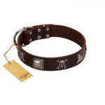 "Nut-Brown Finery" Embellished FDT Artisan Brown Leather Great Dane Collar with Chrome Plated Crossbones and Plates