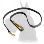 6 Foot Leather Snap Lead for Great Dane