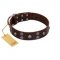 "Skull Valley" Handcrafted FDT Artisan Brown Leather Great Dane Collar with Skulls