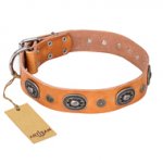 "Twinkle Twinkle" FDT Artisan Incredible Studded Tan Leather Great Dane Collar