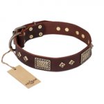 "Loving Owner" FDT Artisan Decorated Leather Great Dane Collar with Plates and Studs