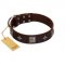 "Cold Star" Designer FDT Artisan Brown Leather Great Dane Collar with Silver-Like Adornments
