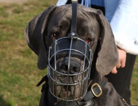 Large Dog Muzzle for Great Dane Muzzle