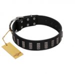 "Black Prince" Handmade FDT Artisan Black Leather Great Dane Collar with Silver-Like Adornments