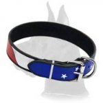American Flag Collar for Great Dane