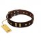 "Choco Delight" FDT Artisan Brown Leather Great Dane Collar with Old Bronze-like Plates and Studs