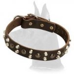 Leather Collar with Studs and Pyramids for Great Dane