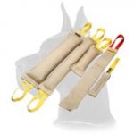 Great Dane Bite Tug Set of Jute with the Gift