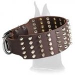Wide leather collar with spikes and pyramids for Great Dane