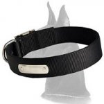 2 Ply Nylon Collar with name tag for Great Dane