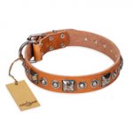 "Era of Future" FDT Artisan Handcrafted Tan Leather Great Dane Collar with Decorations