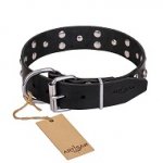 FDT Artisan 'Mystic Skulls' Decorated Leather Great Dane Dog Collar with Skulls and Studs 1 1/2 inch (40 mm)