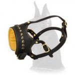 Padded Leather Muzzle with studs for Great Dane