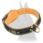 Decorated Leather Great Dane Collar for Basic Training