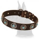 Leather Collar with Silver Plated Circles and Blue Stones
