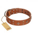 "Dreamy Gleam" FDT Artisan Tan Leather Great Dane Collar Adorned with Stars and Squares
