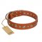 "Gorgeous Roundie" FDT Artisan Tan Leather Great Dane Collar with Chrome-plated Circles