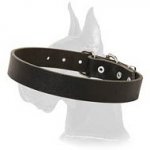 Simple Design Leather Collar for Great Dane
