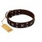 "Bigwig Woof" FDT Artisan Brown Leather Great Dane Collar with Chrome Plated Stars and Square Studs