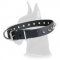 Spiked Leather Dog Collar for Great Dane walking