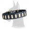 Gorgeous Wide Leather Collar with plates for Great Dane
