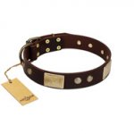 "Middle Age" FDT Artisan Brown Leather Great Dane Collar with Old Bronze-Plated Engraved Flowers and Large Plates