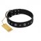"Mr. Elegance" Designer FDT Artisan Black Leather Great Dane Collar with Silver-Like Studs