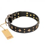 'A La Mode' FDT Artisan Handcrafted Black Leather Great Dane Collar