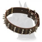 Leather Collar with Spikes and Studs for Great Dane