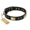 "Black Sun" FDT Artisan Leather Great Dane Collar with Brass Plated Decorations