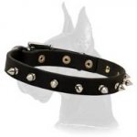 Leather Collar with hand-set spikes for Great Dane