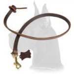 Dog Training Tabs-Leather Leash Tab for Great Dane