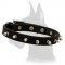 Leather Collar with hand-set spikes for Great Dane