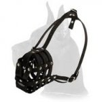Leather Basket Muzzle for Great Dane