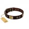 "Bow-Wow Effect" FDT Artisan Brown Leather Great Dane Collar with Plates and Ornate Studs