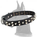 Original Leather Collar with pyramids for Great Dane