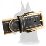 Chic Spiked Collar for Great Dane