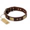 "Shining Armour" FDT Artisan Brown Leather Great Dane Collar with Decorations