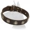 Leather Collar with Silver Conchos for Great Dane