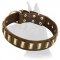 Shining Leather Collar with brass plates