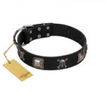 "Sea Rover" Embellished FDT Artisan Black Leather Great Dane Collar with Chrome Plated Crossbones and Plates