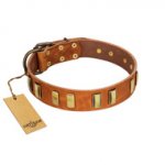 "Olive Slice" FDT Artisan Tan Leather Great Dane Collar with Engraved and Smooth Plates