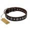 "Victory Ode" FDT Artisan Brown Leather Great Dane Collar with Silver-like Plated Decorations