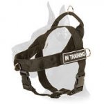 Nylon Dog Harness for Pulling, Tracking, Training and SAR