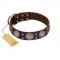 "Imperial Legate" FDT Artisan Brown Leather Great Dane Collar with Big Round Plates