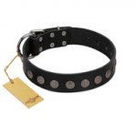 "Silent Star" Handmade FDT Artisan Designer Black Leather Great Dane Collar with Engraved Plates