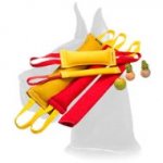 Ultimate Dog Training Set for Great Dane