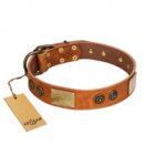 "Bronze Century" FDT Artisan Tan Leather Great Dane Collar with Plates and Brooches with Cool Ornament
