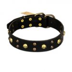 FDT Artisan 'Heavy Metal' Leather Great Dane Collar with Skulls and Half-Balls 1 1/2 inch (40 mm)